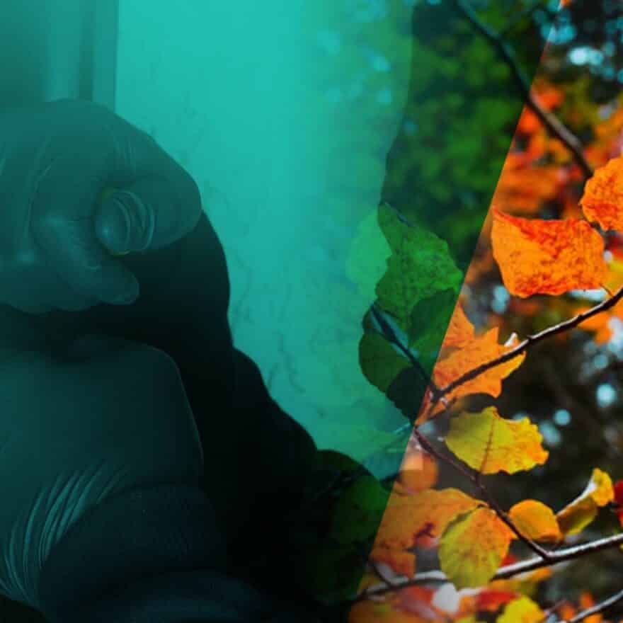 Your Security during Autumn and Winter